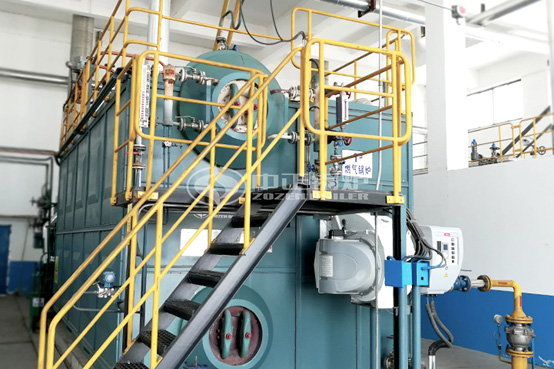 10噸和6噸SZS系列冷凝式燃?xì)庹羝仩t項目